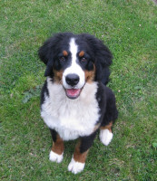 /album/melissa/u1-jpg/